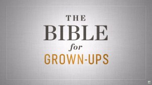 the-bible-for-grown-up.jpg